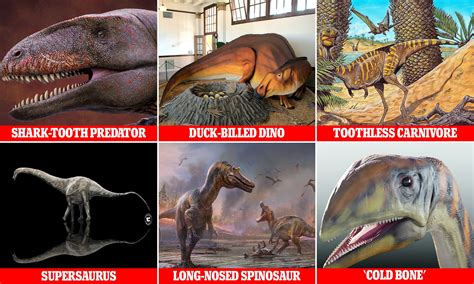 Real Dinosaurs Found Alive