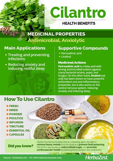 Benefits Of Cilantro Seeds