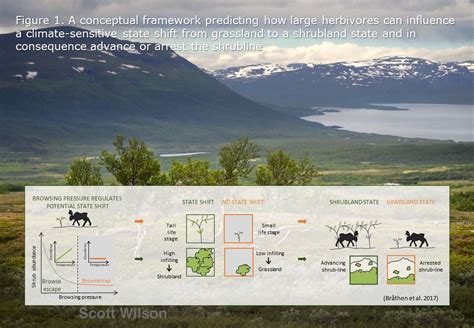 Arctic 的图像结果