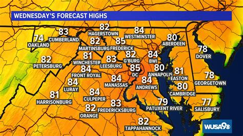 PHOTOS: Annie Hawkins-Turner Holds World's Largest Natural Breasts ...