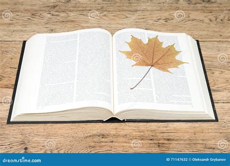 What Is The Leaf Of A Book at Roger Krug blog