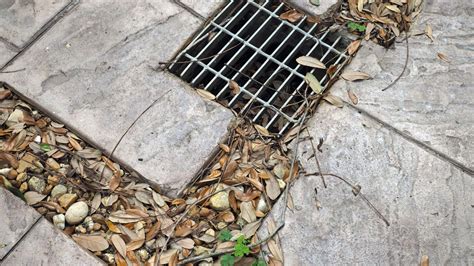 How to Prevent and Clear Blockages in Outdoor Drains - Gold Coast ...