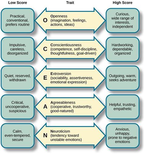 The Big 5 Personality Traits [aka, the 5 Factor Model (FFM) || "OCEAN ...