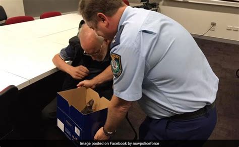 पुलिस ने लापता हुए पालतू चूहे को मालिक से मिलवाया, दिल को छू लेने वाला ...