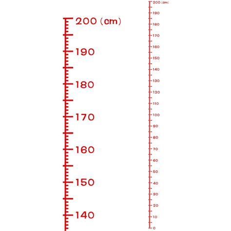 Height Chart Ruler 200cm Metric System PVC with Transfer Film, Red ...