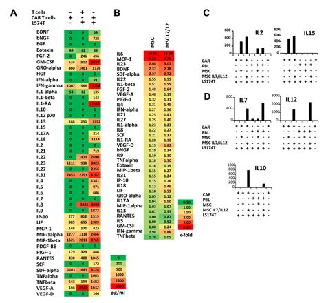 IL7-IL12 Engineered Mesenchymal Stem Cells (MSCs) Improve A CAR T Cell ...