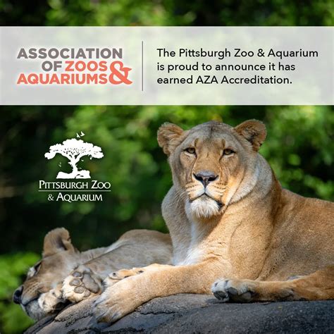 Pittsburgh Zoo & Aquarium Earns AZA Accreditation - Pittsburgh Zoo ...