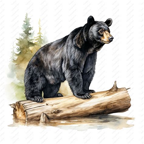 Black Bear Clipart - 10 High Quality Jpgs, Scrapbooks, Digital Craft ...