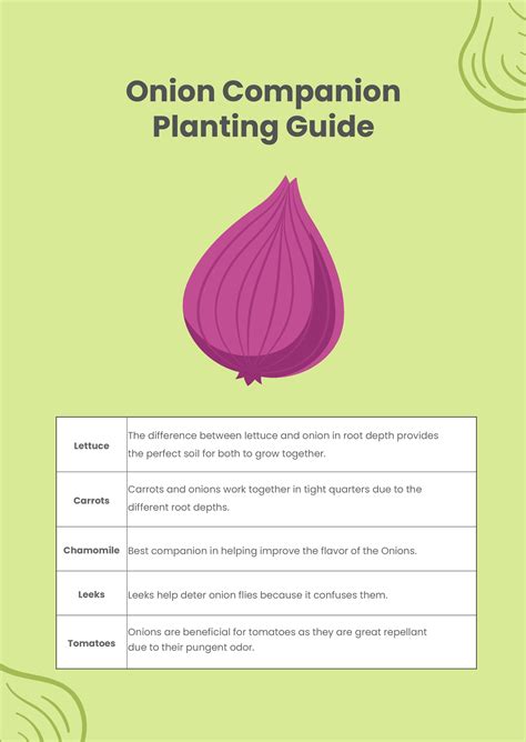 Onion Companion Planting Chart in Illustrator, PDF - Download ...