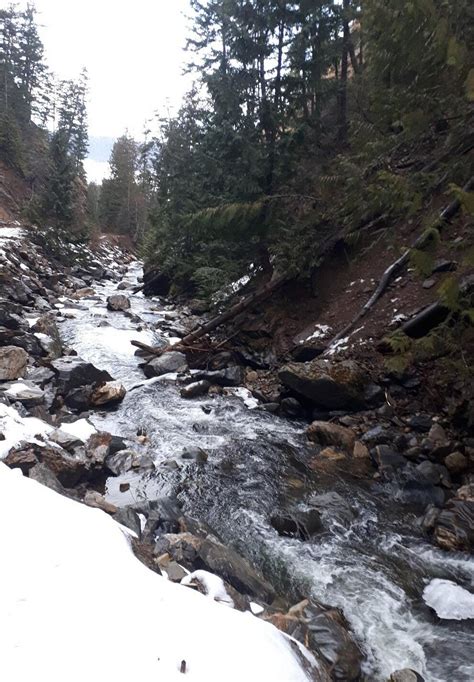 JOYS INN (Innisfail) - Motel Reviews, Photos, Rate Comparison - Tripadvisor