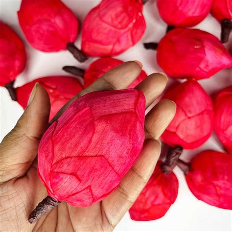 Red Lotus Flower Bud Set of 6 – craftshopindia
