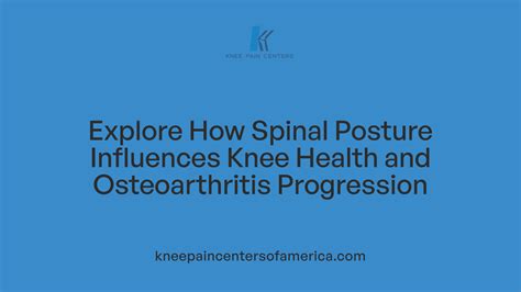 Image result for Spinal Alignment