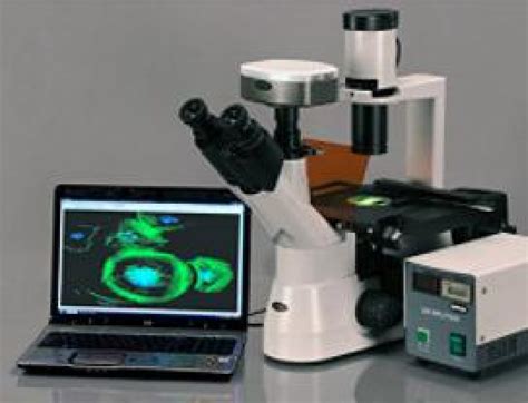 Image result for Microscope Optique