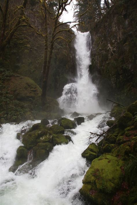 Kentucky Falls Trail leads to three spectacular waterfalls in Oregon’s ...