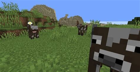 Image result for Minecraft Mod Spawn Distance
