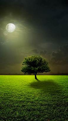 Tree Wallpaper Iphone 11 by Moon Lighting Tree Wallpaper For Iphone 11 Pro Max X 8 Tree Wallpaper Iphone 11
