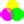 Image result for Nuclear Reprogramming