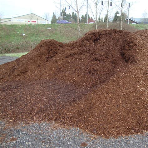 Medium Fir Bark | Portland Rock & Landscape Supply | Portland OR