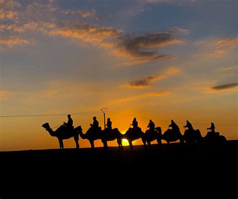 AYOUR TOURS (2026) All You Need to Know BEFORE You Go (with Photos ...