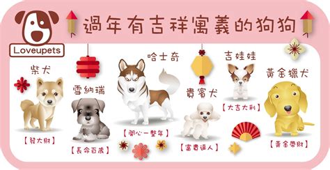 猫狗国际友谊日_素材中国sccnn.com