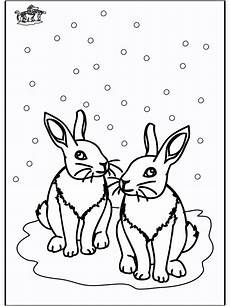 ausmalbild hase winter malvorlage winter tiere coloring and malvorlagan ausmalbild hase winter malvorlage winter tiere coloring and malvorlagan