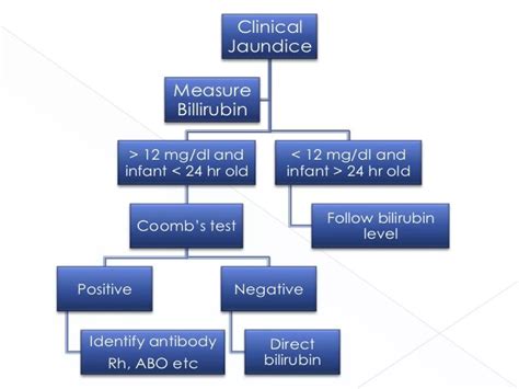 Image result for Neonatal Jaundice Algorithm