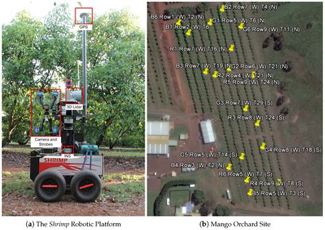 Image Based Mango Fruit Detection, Localisation and Yield Estimation ...