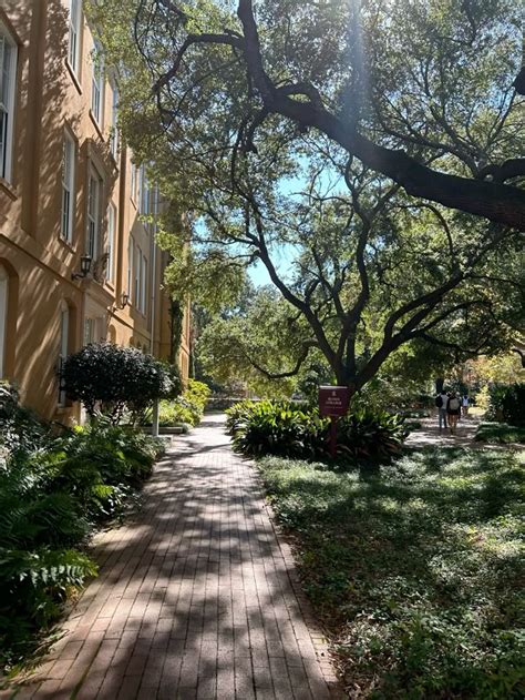 University Of South Carolina