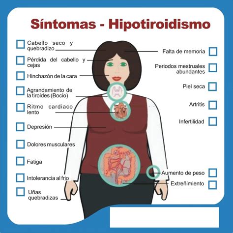 La mitad de las personas que sufren problemas de tiroides lo desconoce – Salud y Medicina
