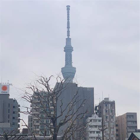 Tokyo Full-Day Sightseeing Tour by Coach with Lunch Option 2021