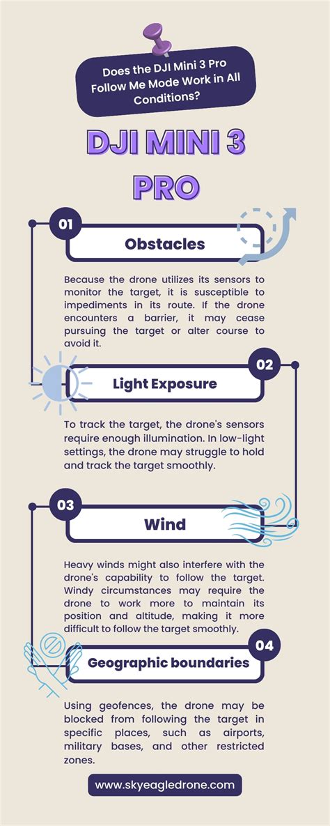 DJI Phantom 4 Pro Follow Me Tutorial 的图像结果