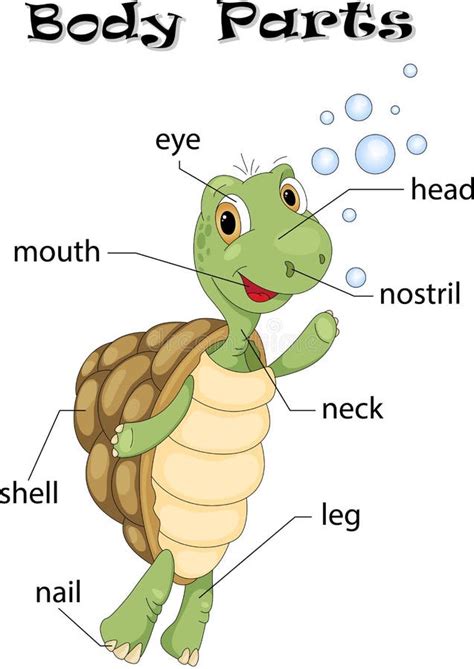Image result for Comments in Python Example