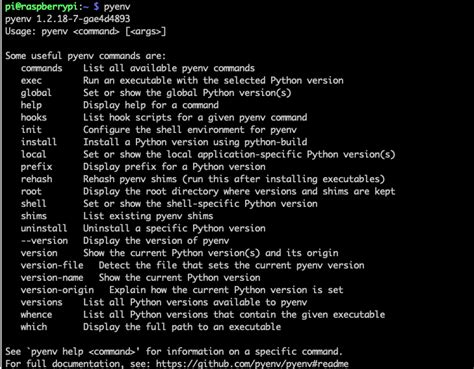 Install Python 3.7.3 Raspberry 的图像结果