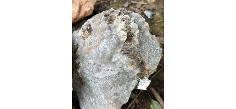Crystal Quartz
