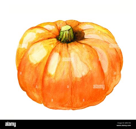 Pumpkin Watercolor Paintings