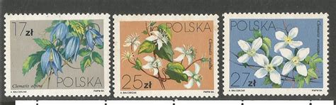 Stamps on Clematis Flowers -Poland 1984. – Stamp Digest