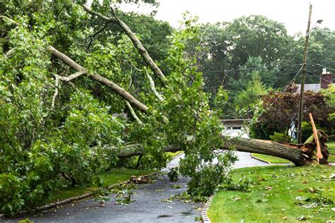 Tax Pros and their clients increasingly are identity-theft targets: 5 tips to avoid scams ...