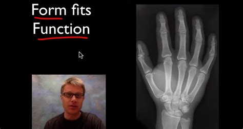 Image result for Introduction to Complementary Systems