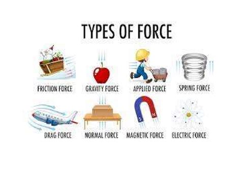 Forces Examples 的图像结果