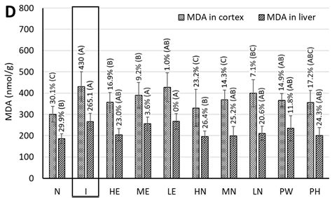 Improving Alzheimer’s Disease and Parkinson’s Disease in Rats with ...