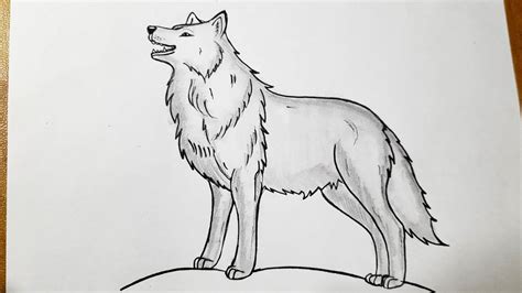 How to draw a wolf || Easy wolf drawing for beginners - YouTube