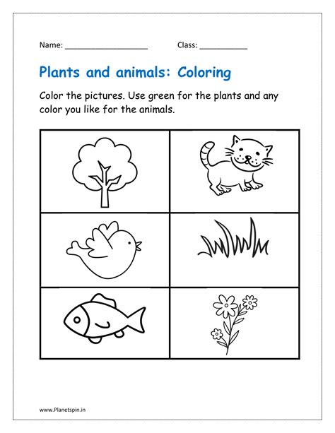 Plants and animals worksheet PDF | Planetspin.in