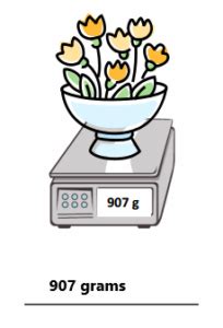 Image result for Eureka Math Grade 3 Module 2 Lesson 6