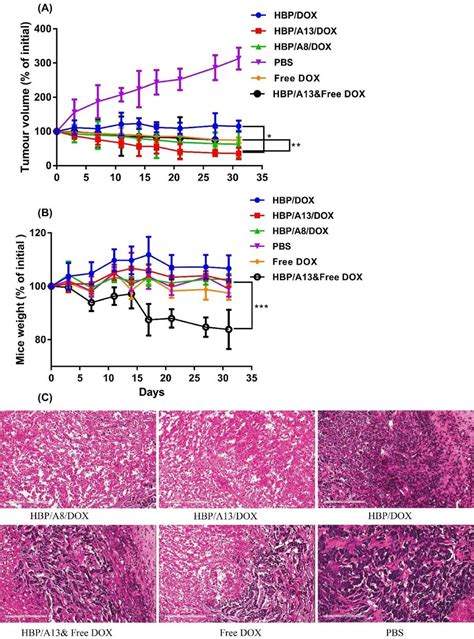 Tumour growth inhibition of s.c human breast MDA-MB-468 carcinoma ...