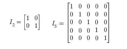 Identity Matrix 的图像结果