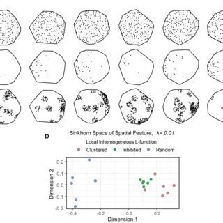 Image result for Spatial Point Pattern