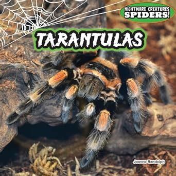 Tarantulas (Nightmare Creatures-Spiders!) : Randolph, Joanne: Amazon.in ...