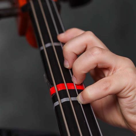 Cello String Notes: Mastering The Basics For Beginners | Ted's List