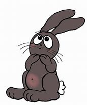 Image result for Pet Rabbit Cartoon