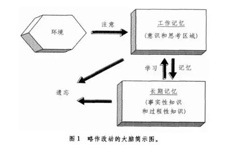 记忆的本质是什么？ - 知乎